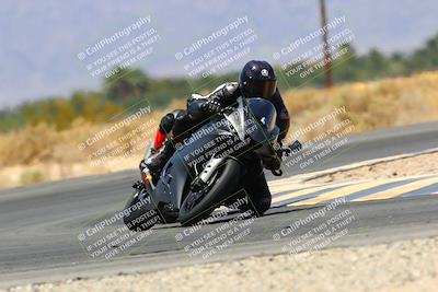 media/May-14-2022-SoCal Trackdays (Sat) [[7b6169074d]]/Turn 16 (1230pm)/